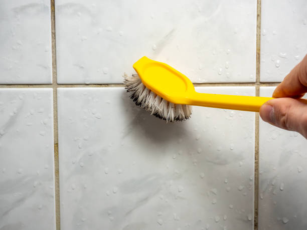 Best Emergency Mold Remediation in Woodville, MS